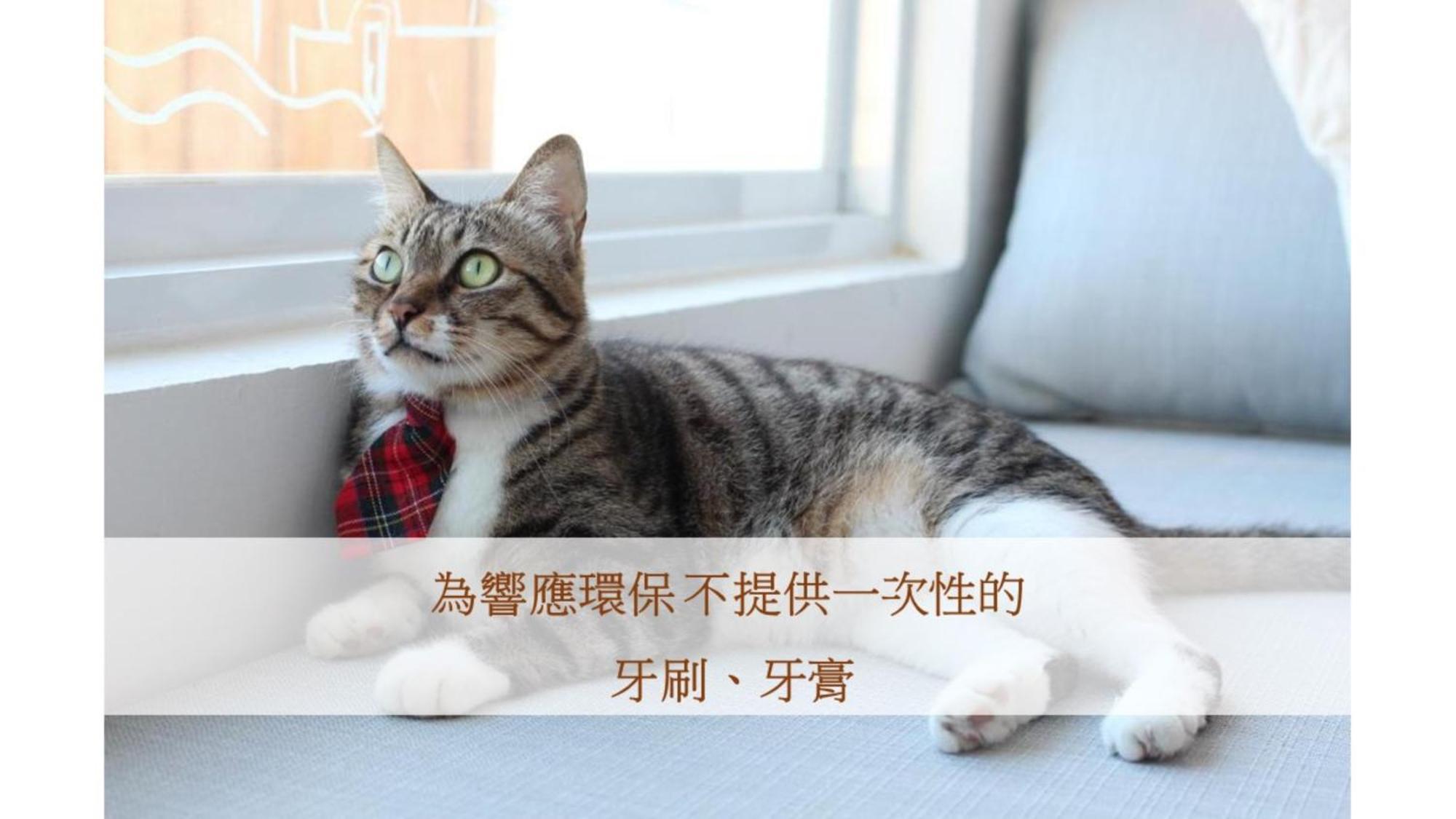 Bed and Breakfast Cat At Greece Nanwan Exterior foto