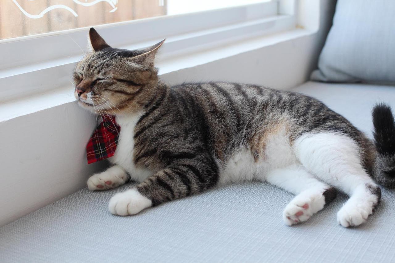 Bed and Breakfast Cat At Greece Nanwan Exterior foto