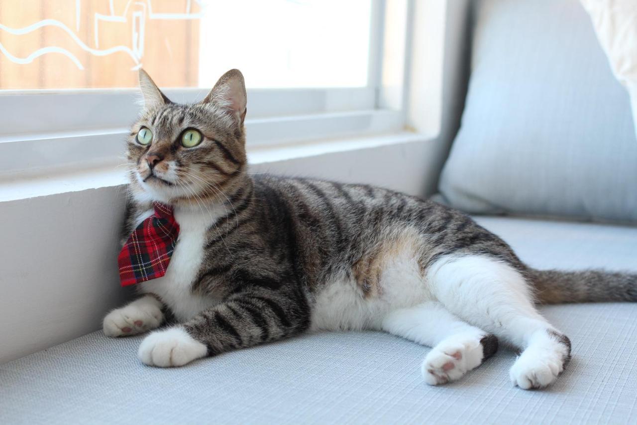 Bed and Breakfast Cat At Greece Nanwan Exterior foto